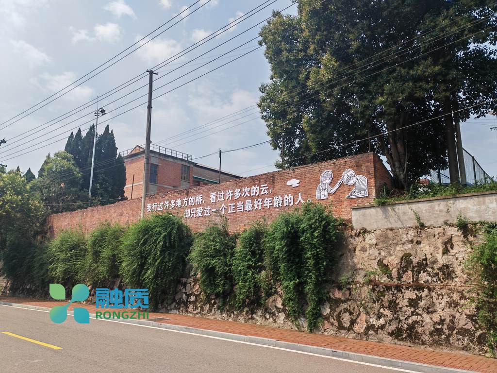 AI办公培训在体育行业的赛事管理案例
