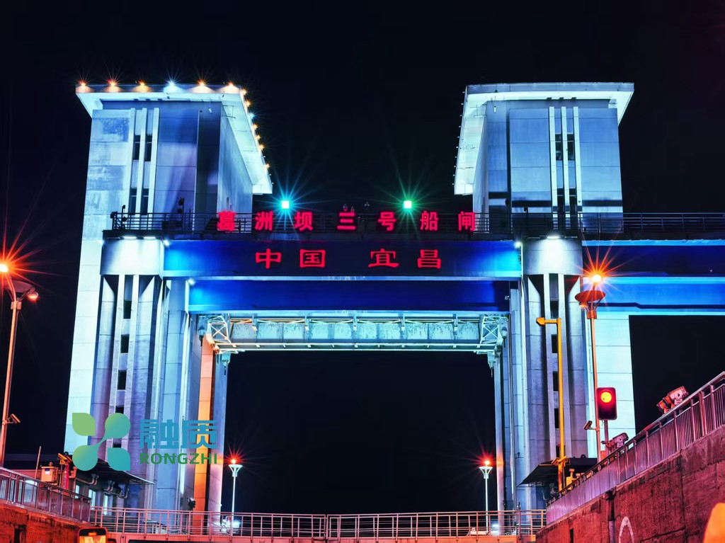 跨境电商维权：智能知识产权保护方案
