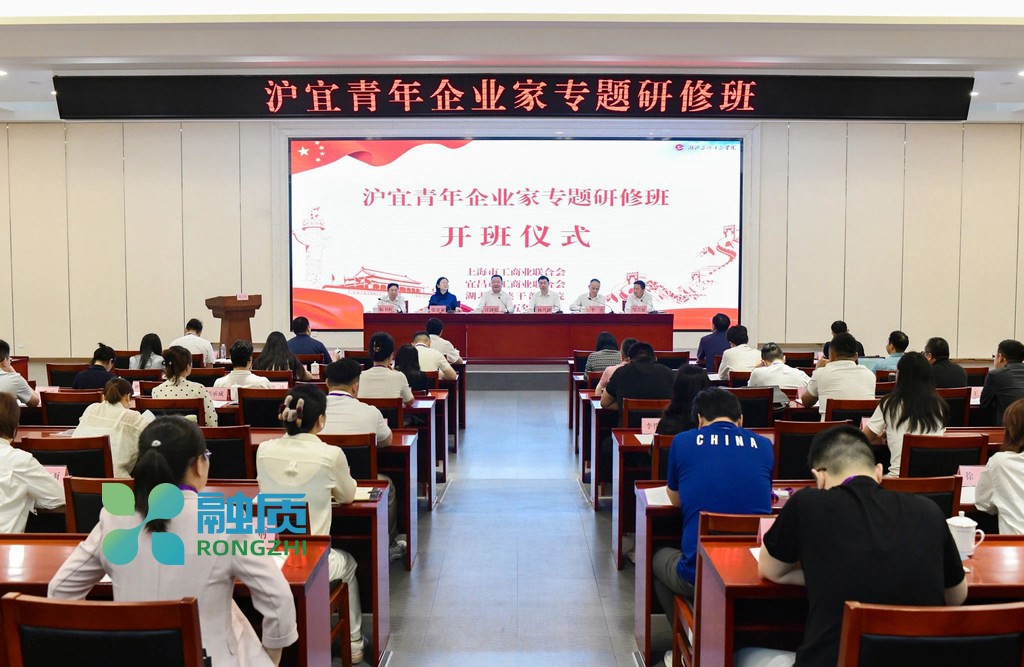 高价AI课 vs 自学成本对比